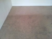 Bournemouth Carpet and Upholstery Cleaning 358985 Image 3